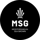 MSG